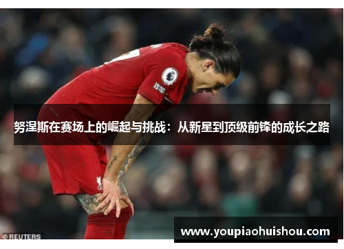 努涅斯在赛场上的崛起与挑战：从新星到顶级前锋的成长之路